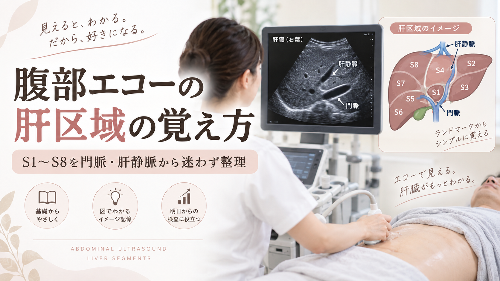 腹部エコー検査を行う医療従事者と肝臓の超音波画像を背景に、S1〜S8の肝区域を門脈・肝静脈から整理して覚える方法を解説する記事のアイキャッチ画像。